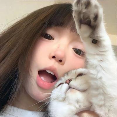 京城归来录